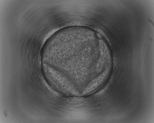 X0000103130981200809121728