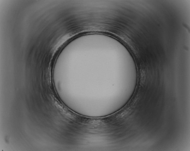 X0000103130982200809121728