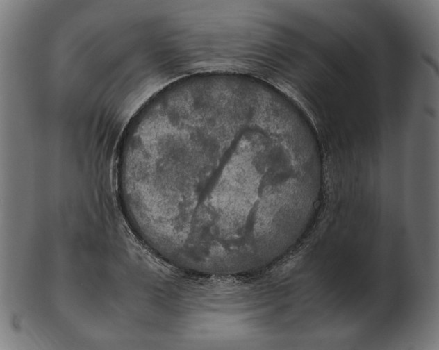 X0000103130983200809121728