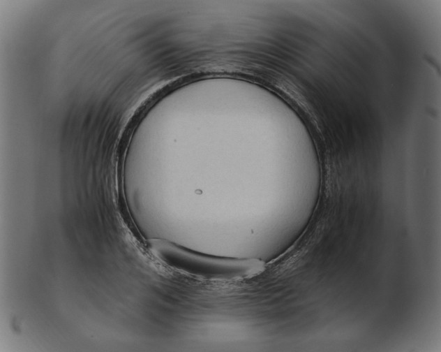 X0000103130984200809121728