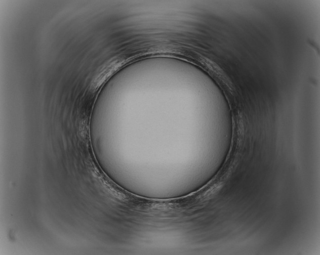 X0000103130985200809121727