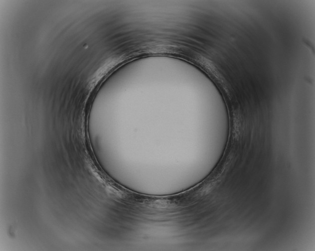 X0000103130986200809121727