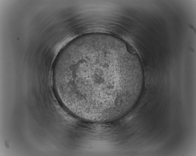 X0000103130987200809121727