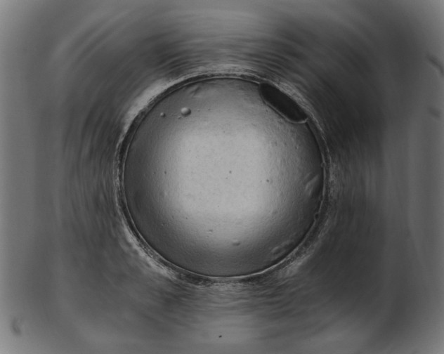 X0000103130989200809121727