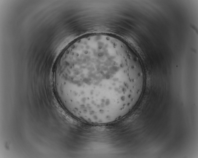 X0000103130990200809121727