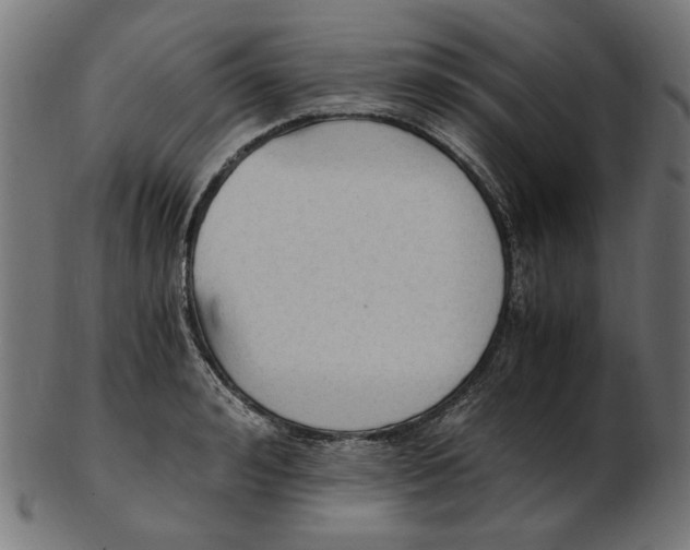 X0000103130992200809121727