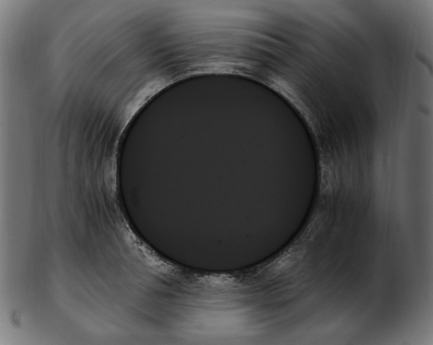 X0000103130994200809121727