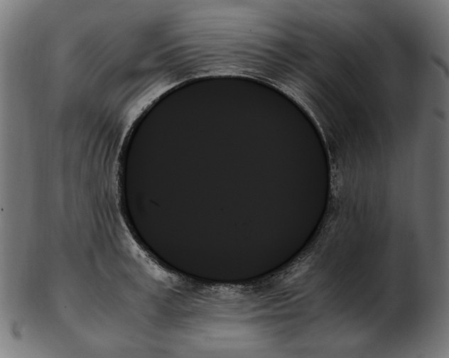X0000103130995200809121727
