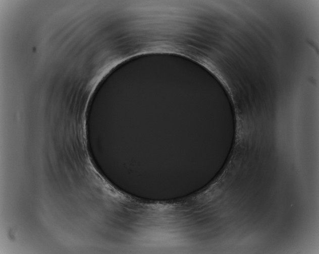 X0000103130996200809121727