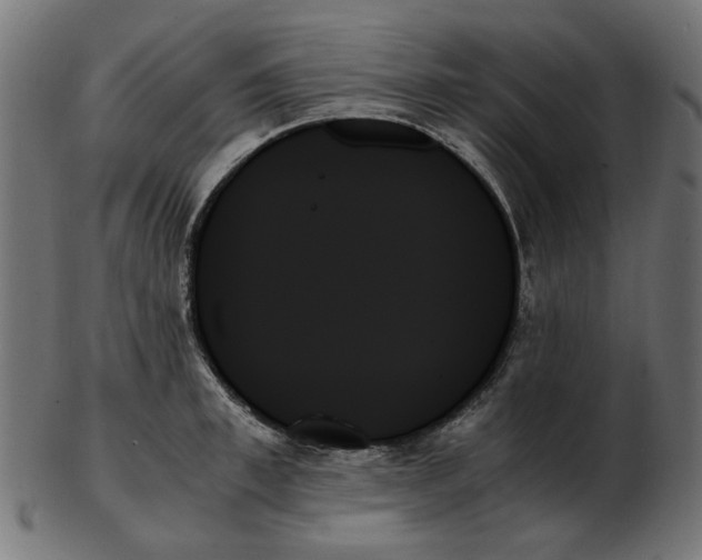 X0000103130997200809121727