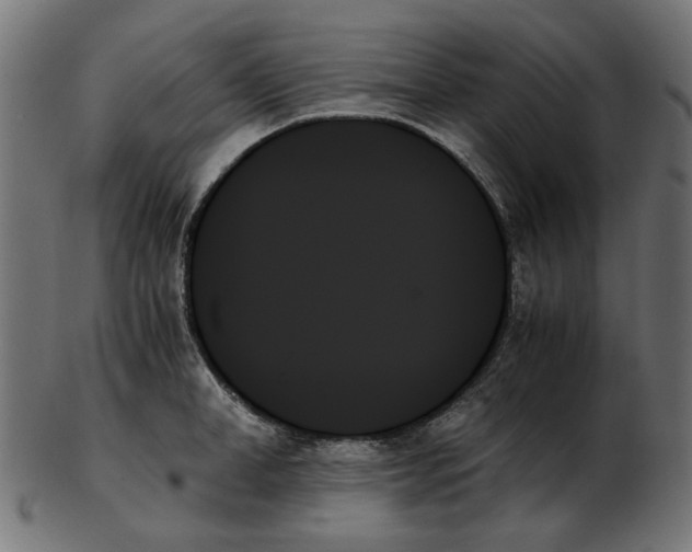 X0000103130998200809121727