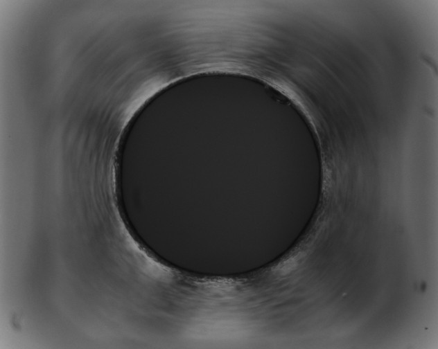 X0000103130999200809121727