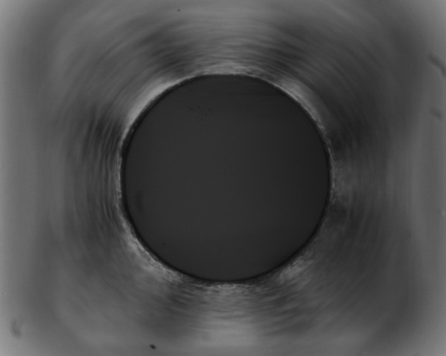 X0000103131000200809121727