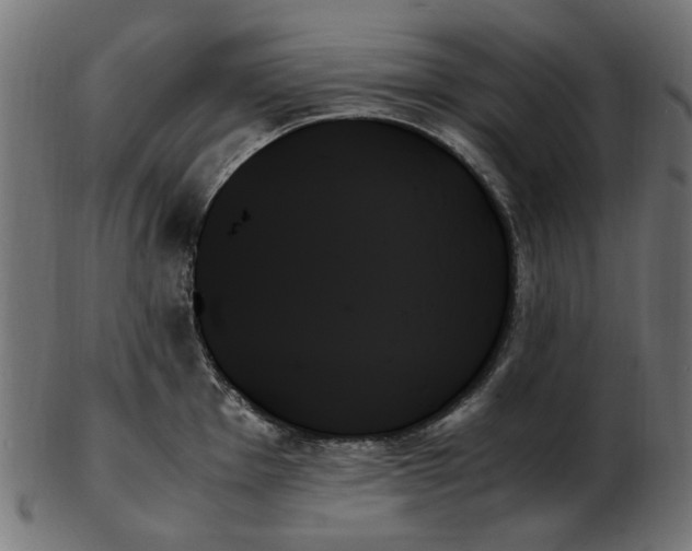 X0000103131001200809121727