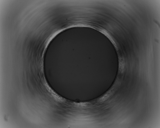 X0000103131004200809121727