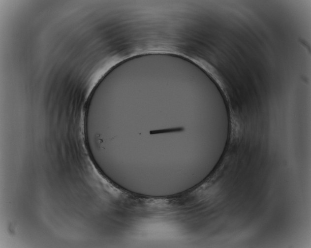 X0000103131006200809121727