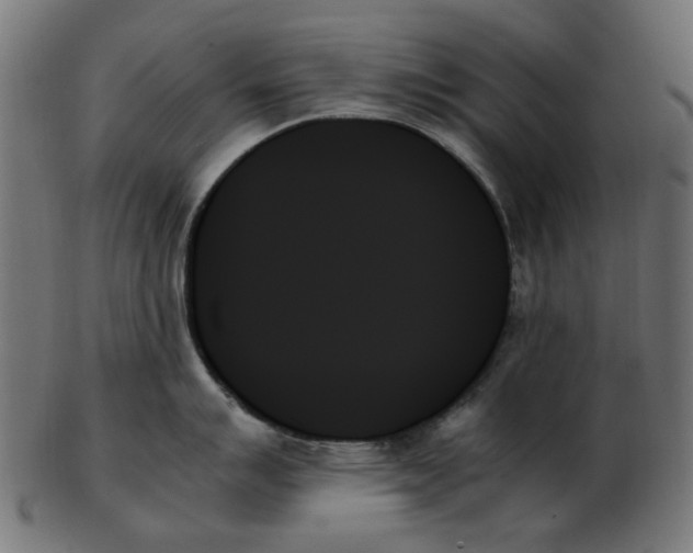 X0000103131007200809121727
