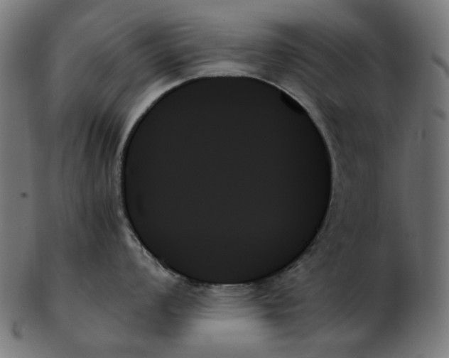 X0000103131008200809121727