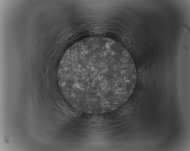 X0000103131009200809121727