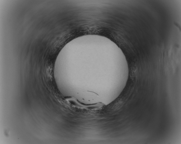 X0000103131010200809121727