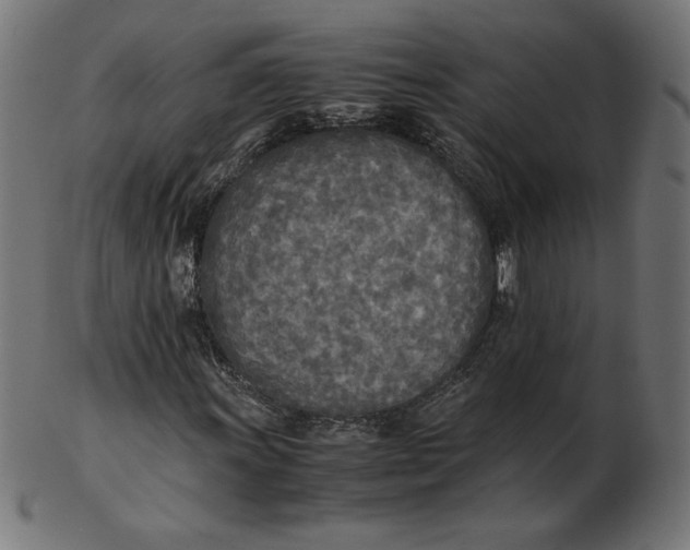 X0000103131011200809121727