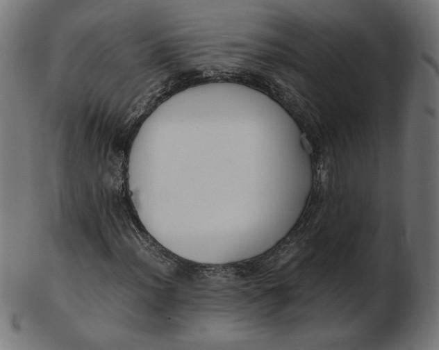 X0000103131012200809121727
