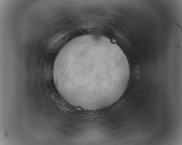 X0000103131014200809121727