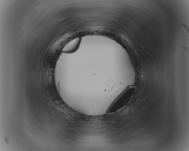 X0000103131016200809121727