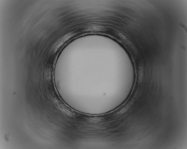 X0000103131017200809121727
