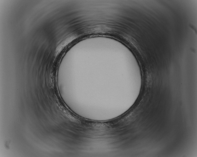 X0000103131018200809121727