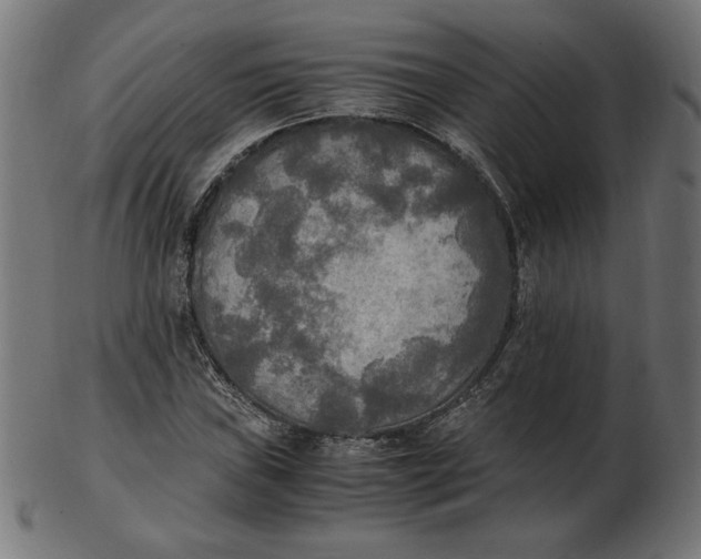 X0000103131019200809121727