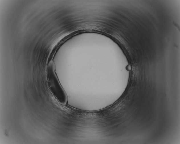 X0000103131020200809121727