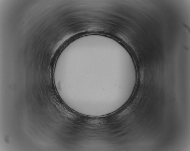 X0000103131021200809121727
