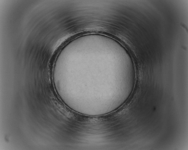 X0000103131022200809121727