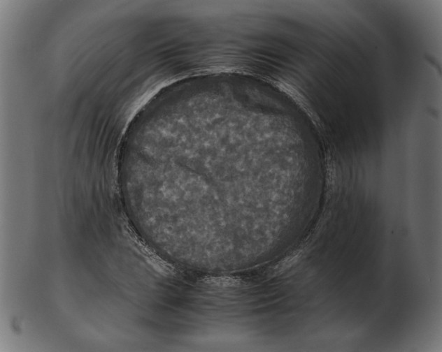 X0000103131023200809121727