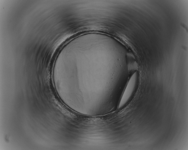 X0000103131024200809121727