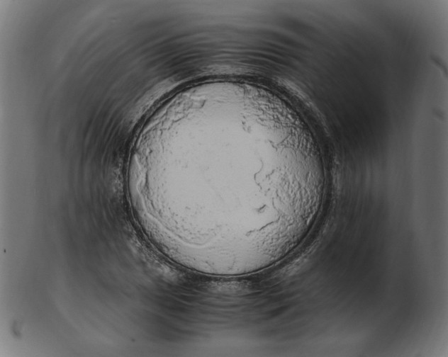 X0000103131025200809121727