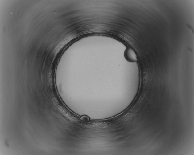 X0000103131026200809121727