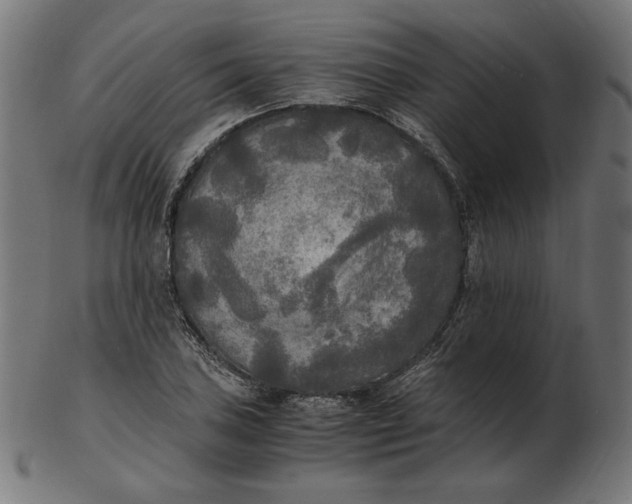 X0000103131027200809121727
