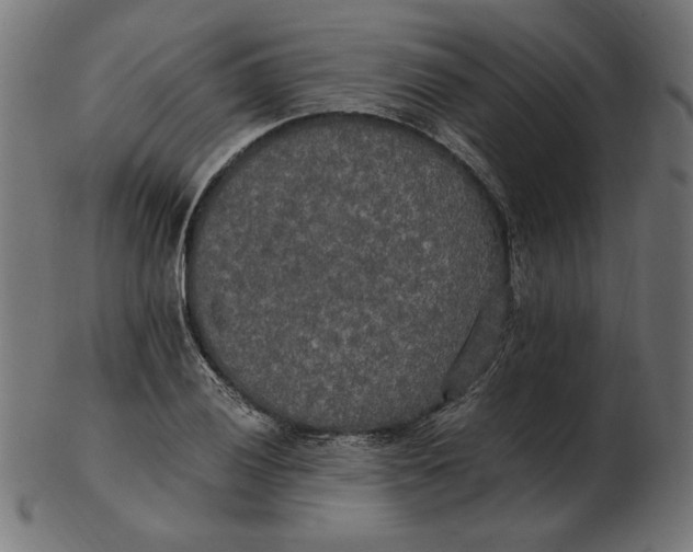 X0000103131028200809121727
