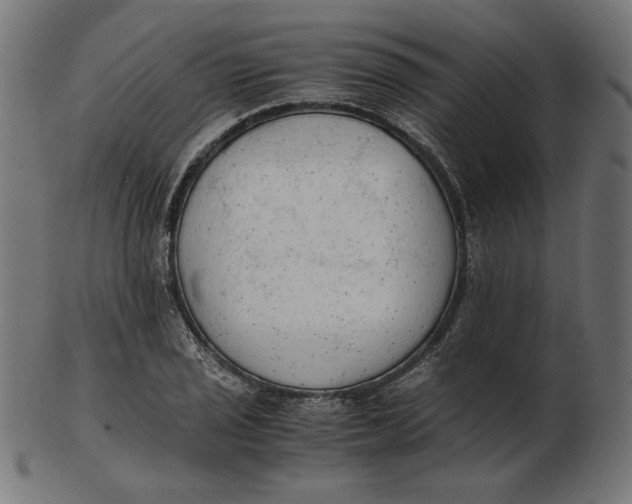 X0000103131029200809121727