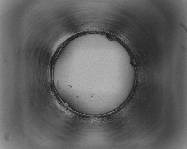 X0000103131030200809121727