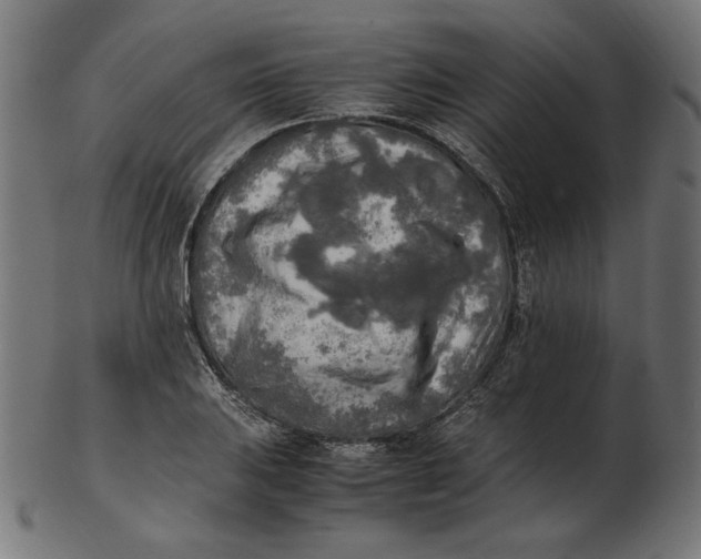 X0000103131031200809121727