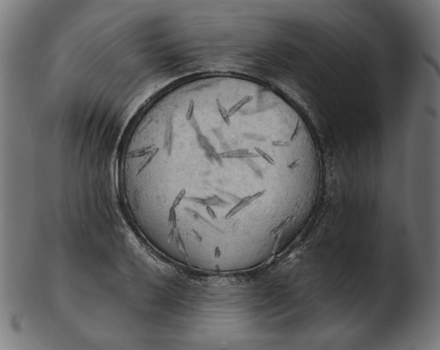 X0000103131032200809121727