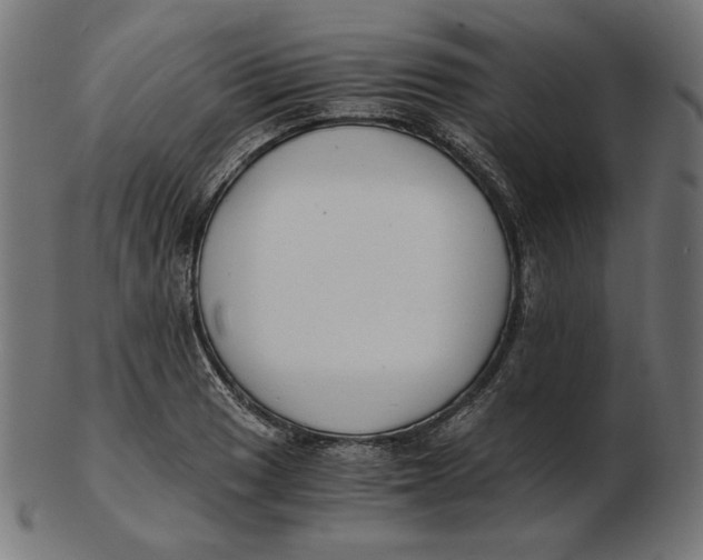 X0000103131033200809121727