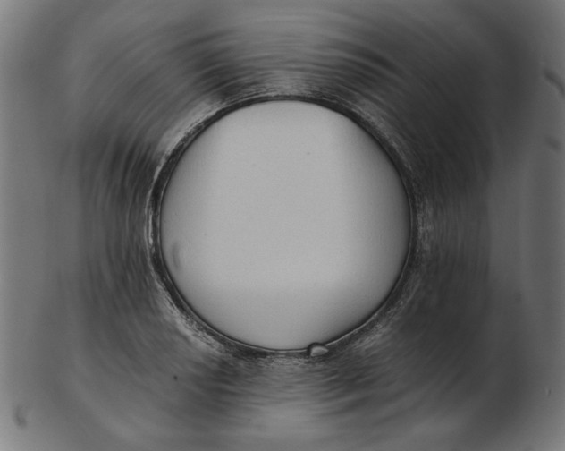 X0000103131034200809121727