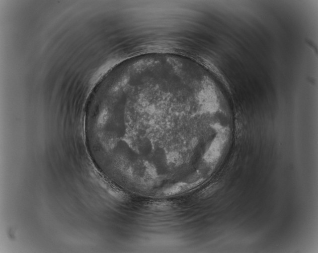 X0000103131035200809121727