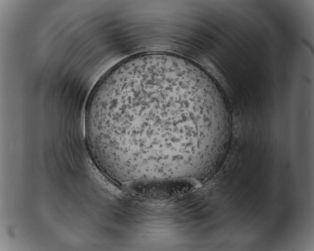 X0000103131036200809121727