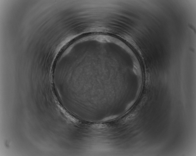 X0000103131037200809121727