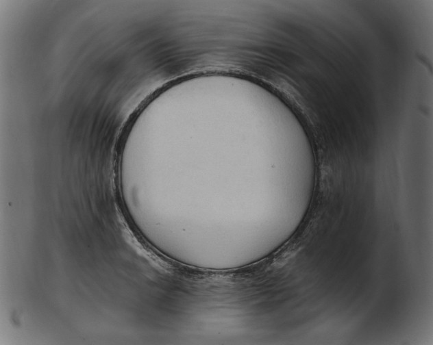 X0000103131038200809121727